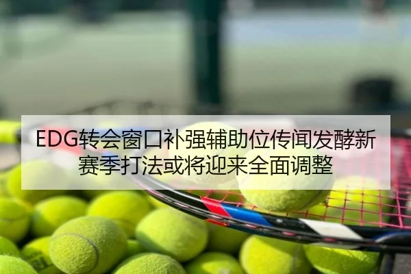 EDG转会窗口补强辅助位传闻发酵新赛季打法或将迎来全面调整